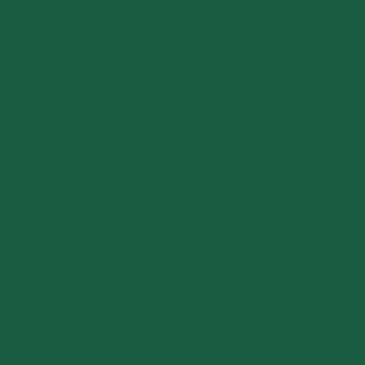 Servetten Duni, dark green, 33 x 33 cm, 20 stuk(s)