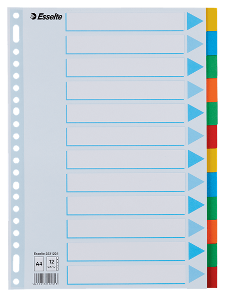 Tussenblad ESSELTE, A4, blanco, 12 tabs