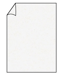 Papier Paperado, standaard