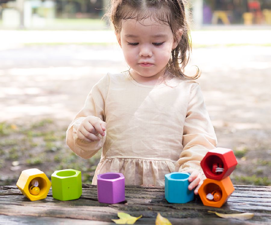 Sorteervormen Plan Toys Beehives | Learning & Education