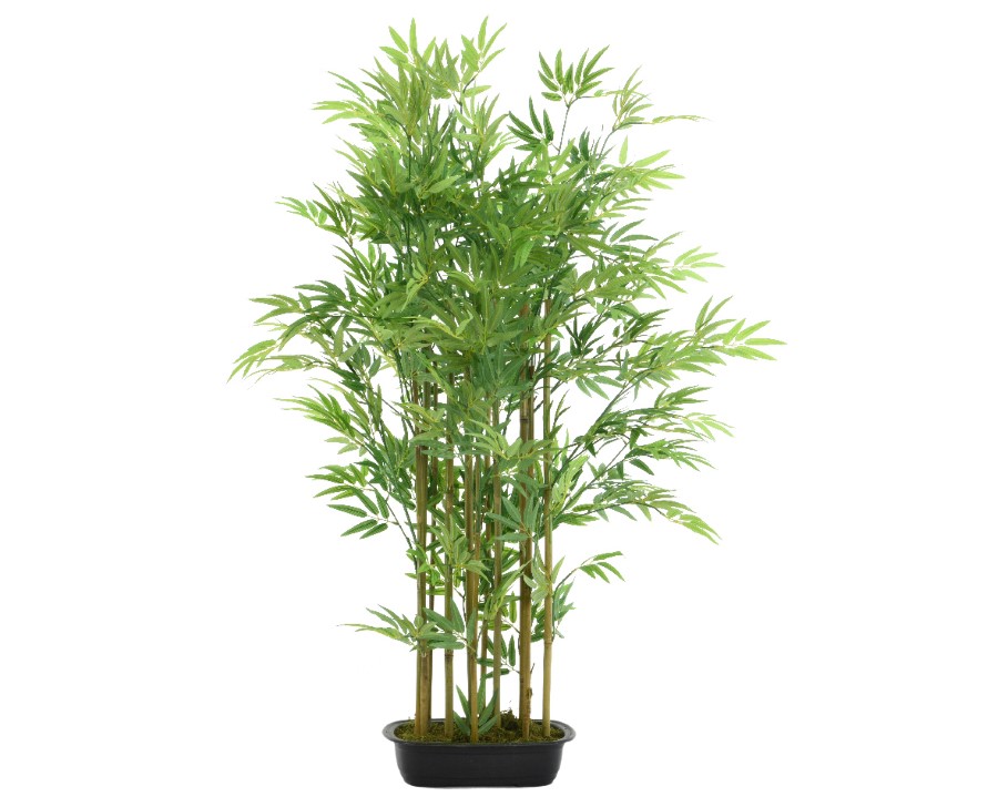 Plant Decoris, bamboe