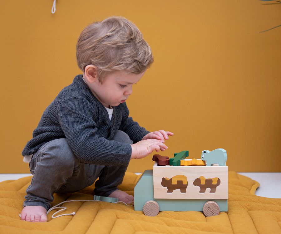 Sorteervormen Trixie Animal truck | Playtime