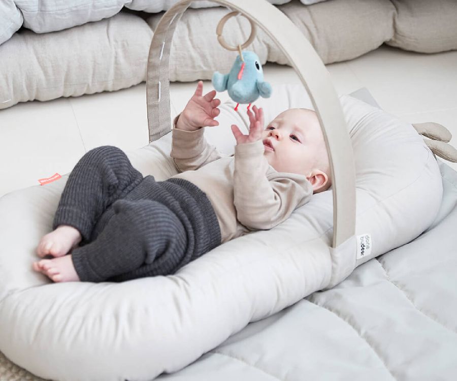 Babynest Done by Deer Raffi | Cozy Lounger W/Activity Arch