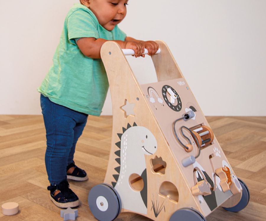 Loophulp Tryco Baby Walker with blocks