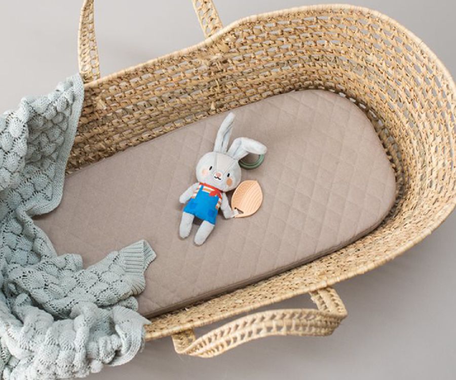 Speelgoed voor de maxi-cosi Taf Toys Rylee The Bunny | Urban Garden