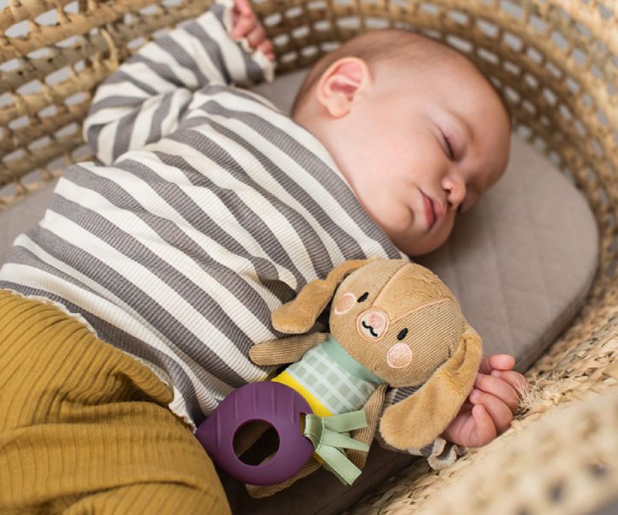 Speelgoed voor de maxi-cosi Taf Toys Jenny The Bunny | Urban Garden