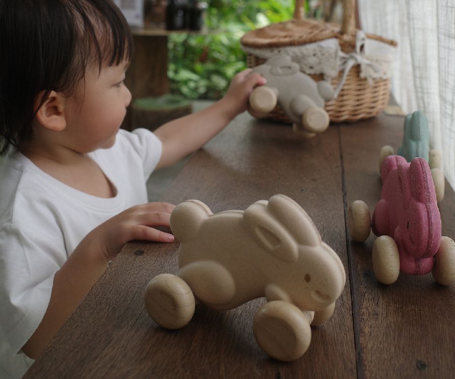 Voertuigen Plan Toys Push along Bunny, rollend figuur | Active Play