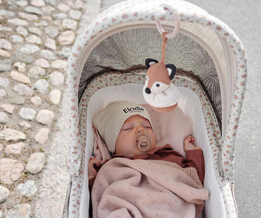 Speelgoed voor de maxi-cosi Elodie Details Stroller Toys