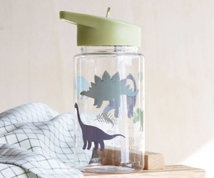 Drinkfles A Little Lovely Company Drink Bottle | Dinosaurs