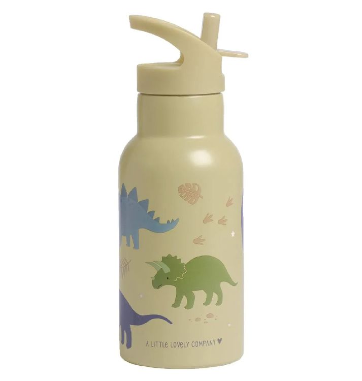 Drinkfles/thermosfles A Little Lovely Company Stainless Steel Drink Bottle | Dinosaurs