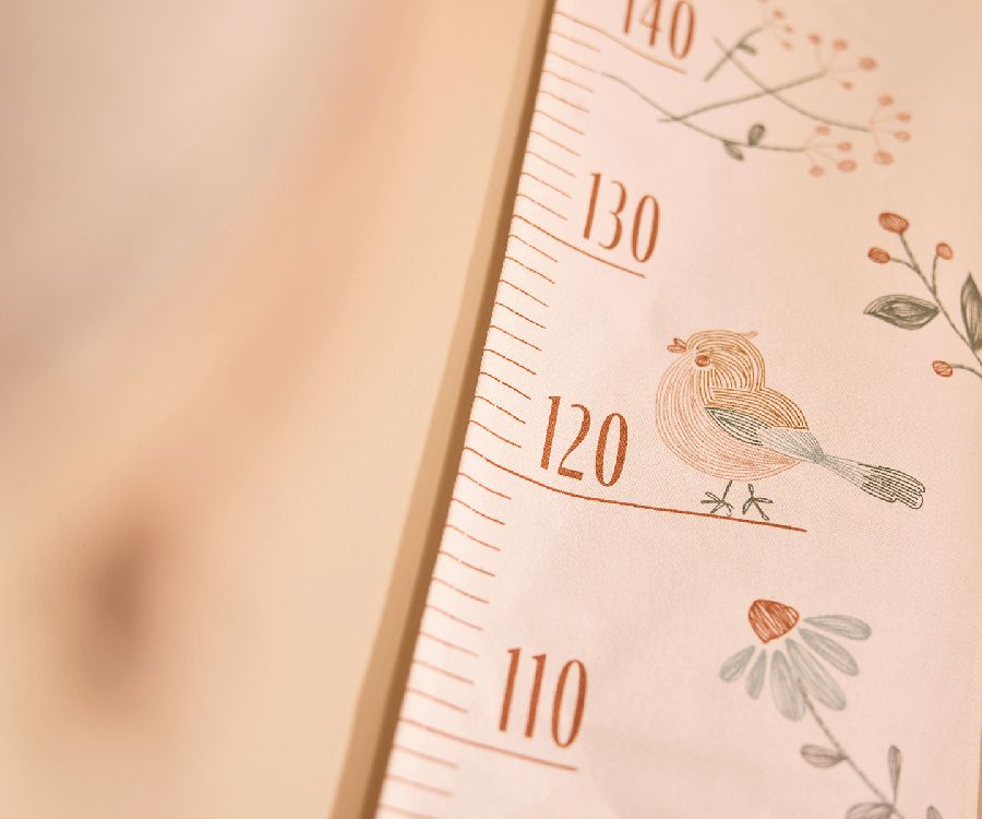 Groeimeter Jollein | Lovely Birds